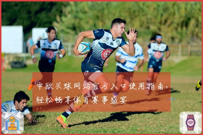 中欧买球网站官方入口使用指南，轻松畅享体育赛事盛宴