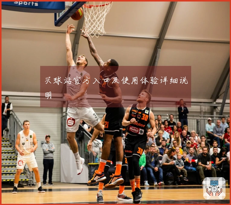 买球站官方入口及使用体验详细说明