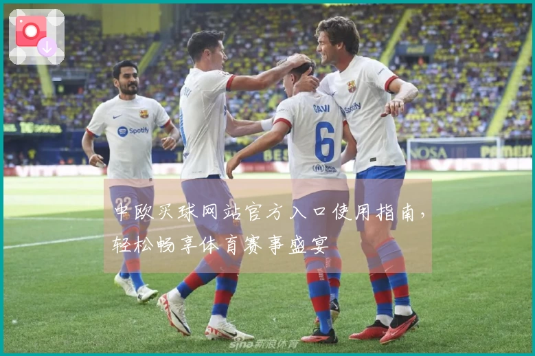 中欧买球网站官方入口使用指南，轻松畅享体育赛事盛宴