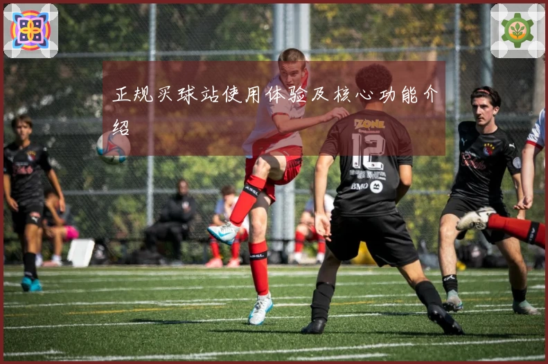 正规买球站使用体验及核心功能介绍