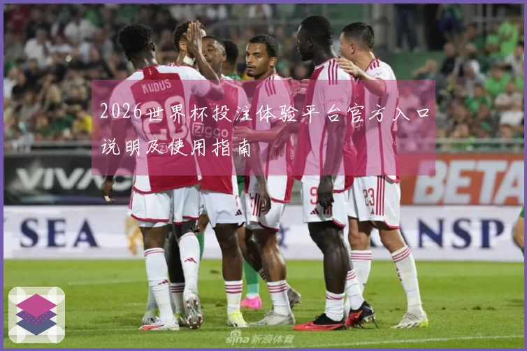 2026世界杯投注体验平台官方入口说明及使用指南