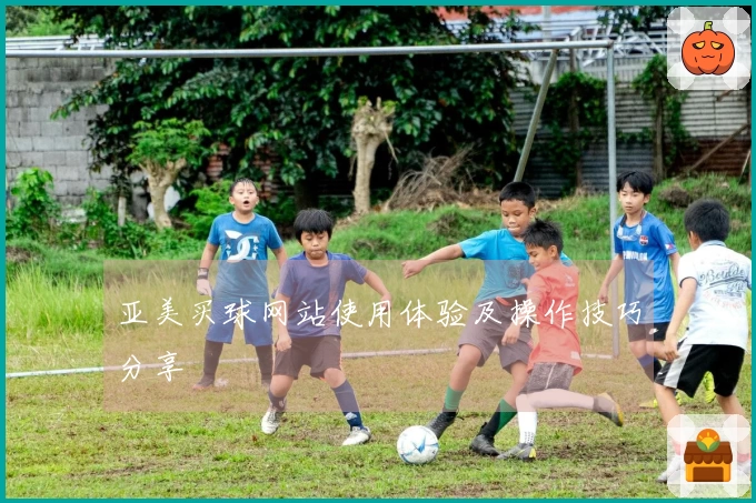 亚美买球网站使用体验及操作技巧分享