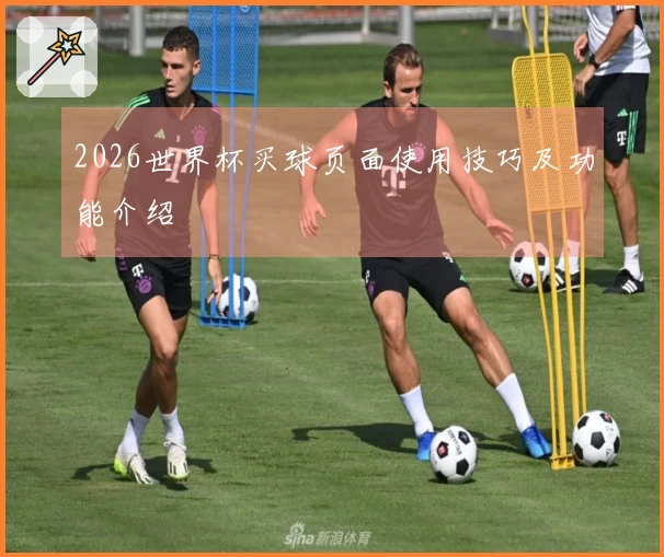 2026世界杯买球页面使用技巧及功能介绍