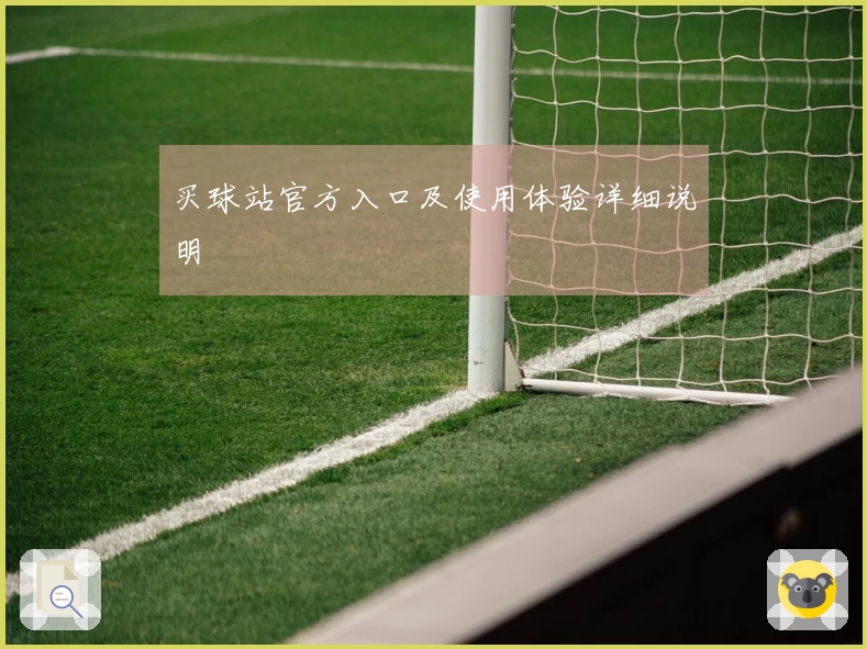 买球站官方入口及使用体验详细说明